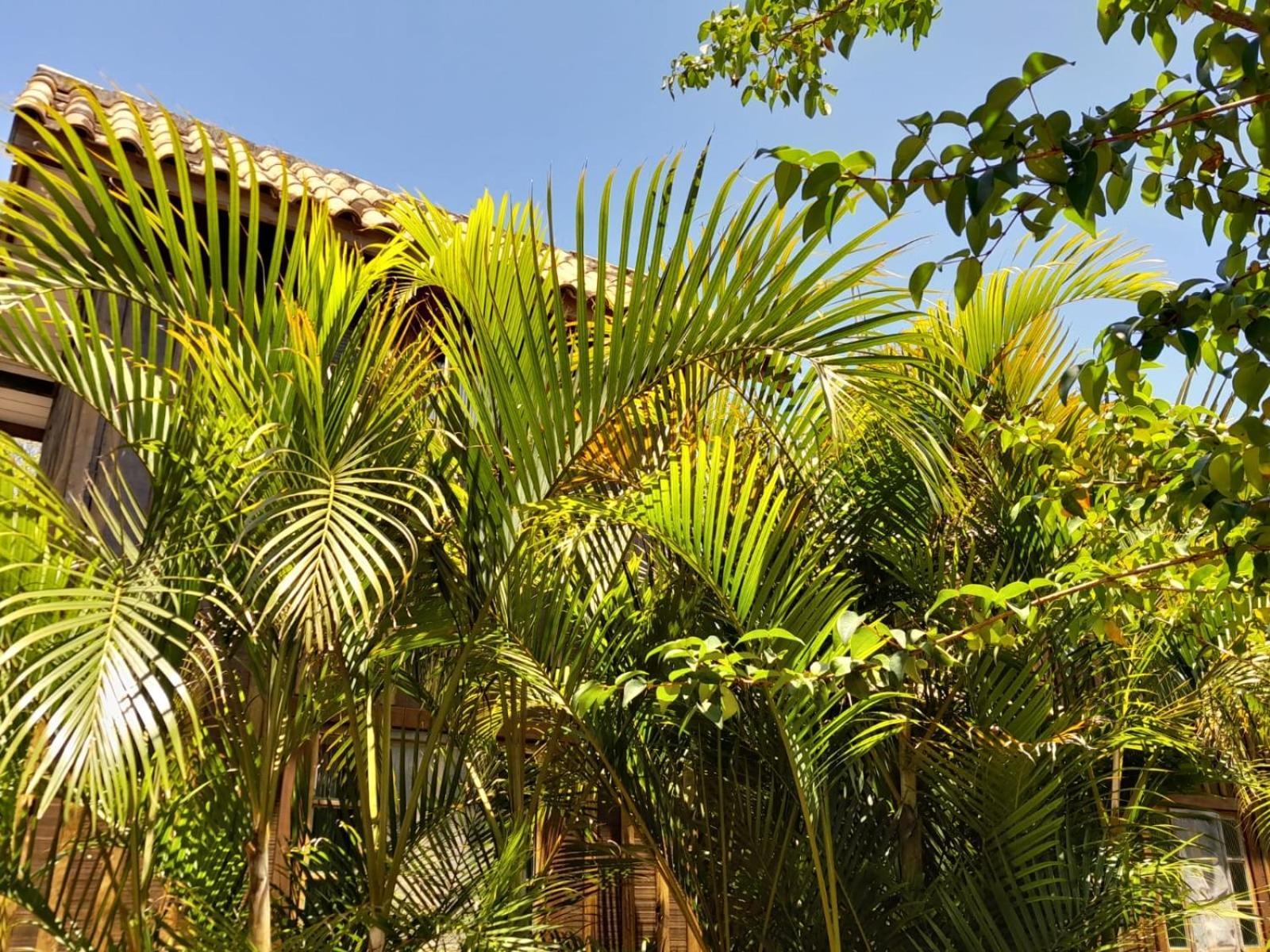 Recanto Das Bromelias Chales Guarda do Embau Luaran gambar